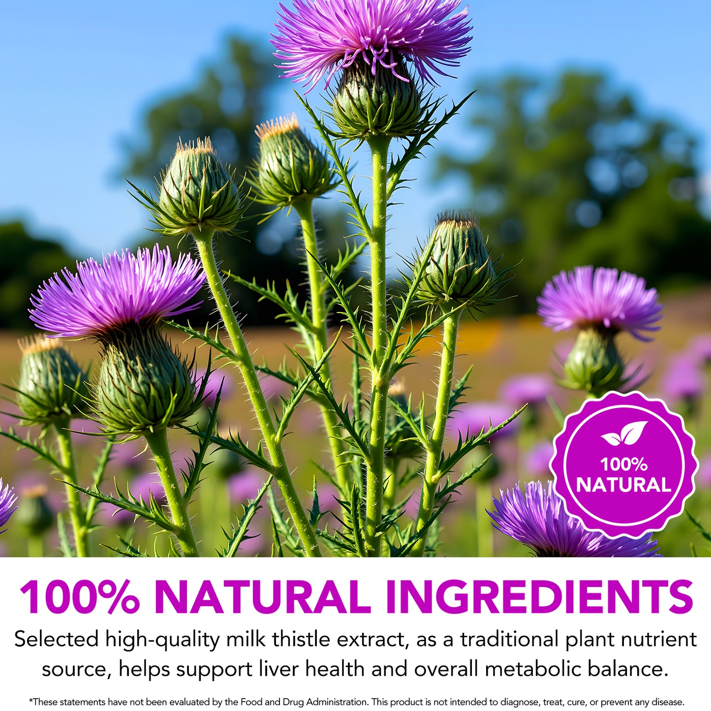 Milk Thistle Seed Oil Extract 2 fl oz - CO2 Liquid Milk Thistle Extract - Rich in Silymarin, VIT E, Zinc, Omegas, Tocopherols - Sweet and Pleasant Taste