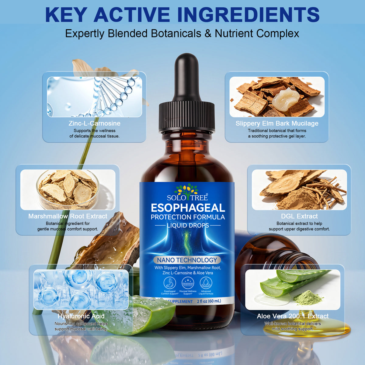 Esophageal Protection Formula Liquid Drops with Slippery Elm Marshmallow Root Zinc L Carnosine Aloe Vera 2 fl oz 60 mL