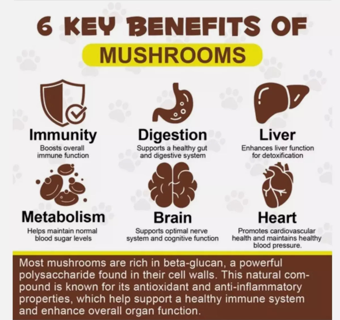 11in1 Wild Mushroom Superblend for Dogs & Cats Immune, Heart & Brain Turkey tail