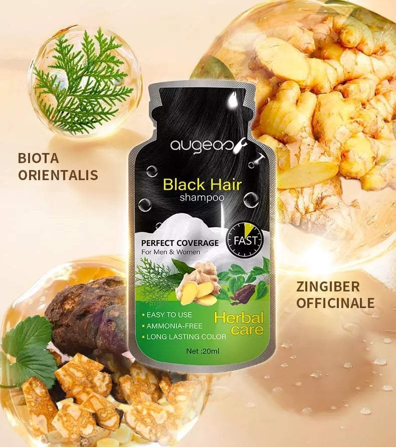 AUGEAS Black Hair SHAMPOO Hair color shampoo (20ml x10Sachets) BEARD SHAMPOO