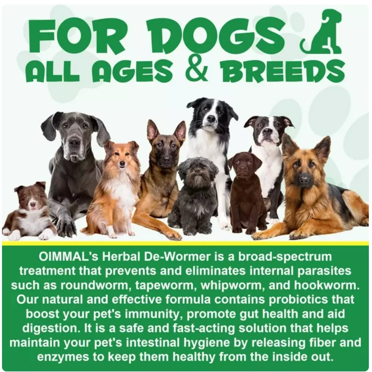 Dogs DeWormer Natural Worm Treatment with Probiotic Liquid Herbal Medicine