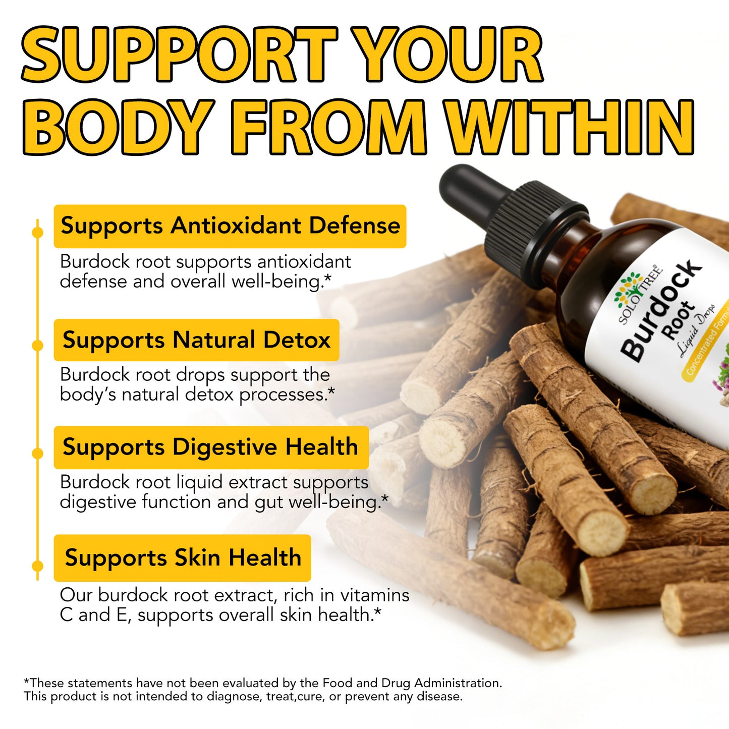 Burdock Root Liquid Extract | Alcohol-Free, Vegan, Non-GMO, Gluten-Free | 2 oz Liquid Herbal Organic Tincture