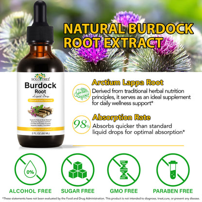 Burdock Root Liquid Extract | Alcohol-Free, Vegan, Non-GMO, Gluten-Free | 2 oz Liquid Herbal Organic Tincture