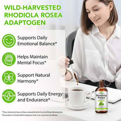 Rhodiola Supplement Liquid - Pure Rhodiola Rosea Tincture for Calmness Support
