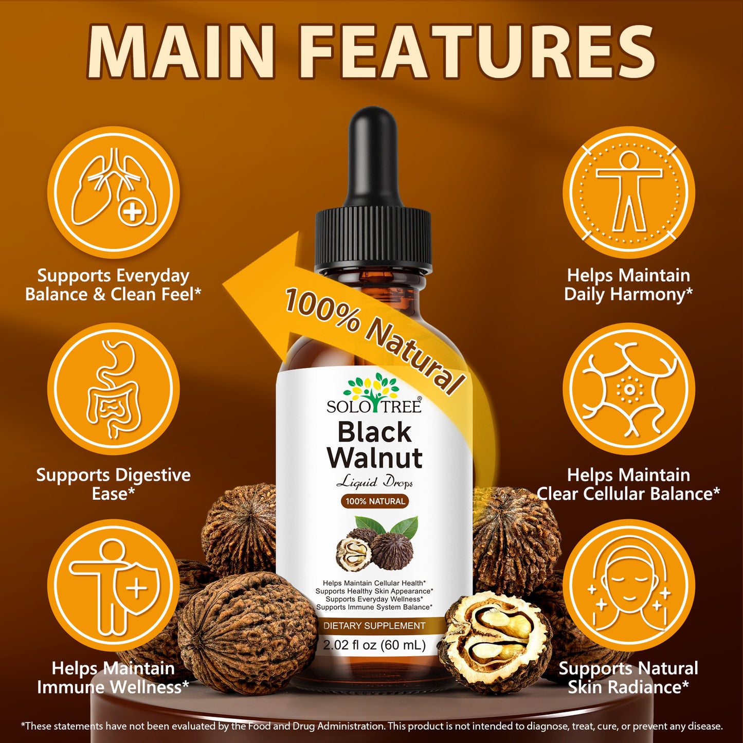 Black Walnut Liquid Drops - 500mg Juglans Nigra Extract - Supports Everyday Wellness, Digestive Balance & Cellular Harmony - Vegan, Alcohol-Free & Sugar-Free - 2.02 fl oz (60 mL)