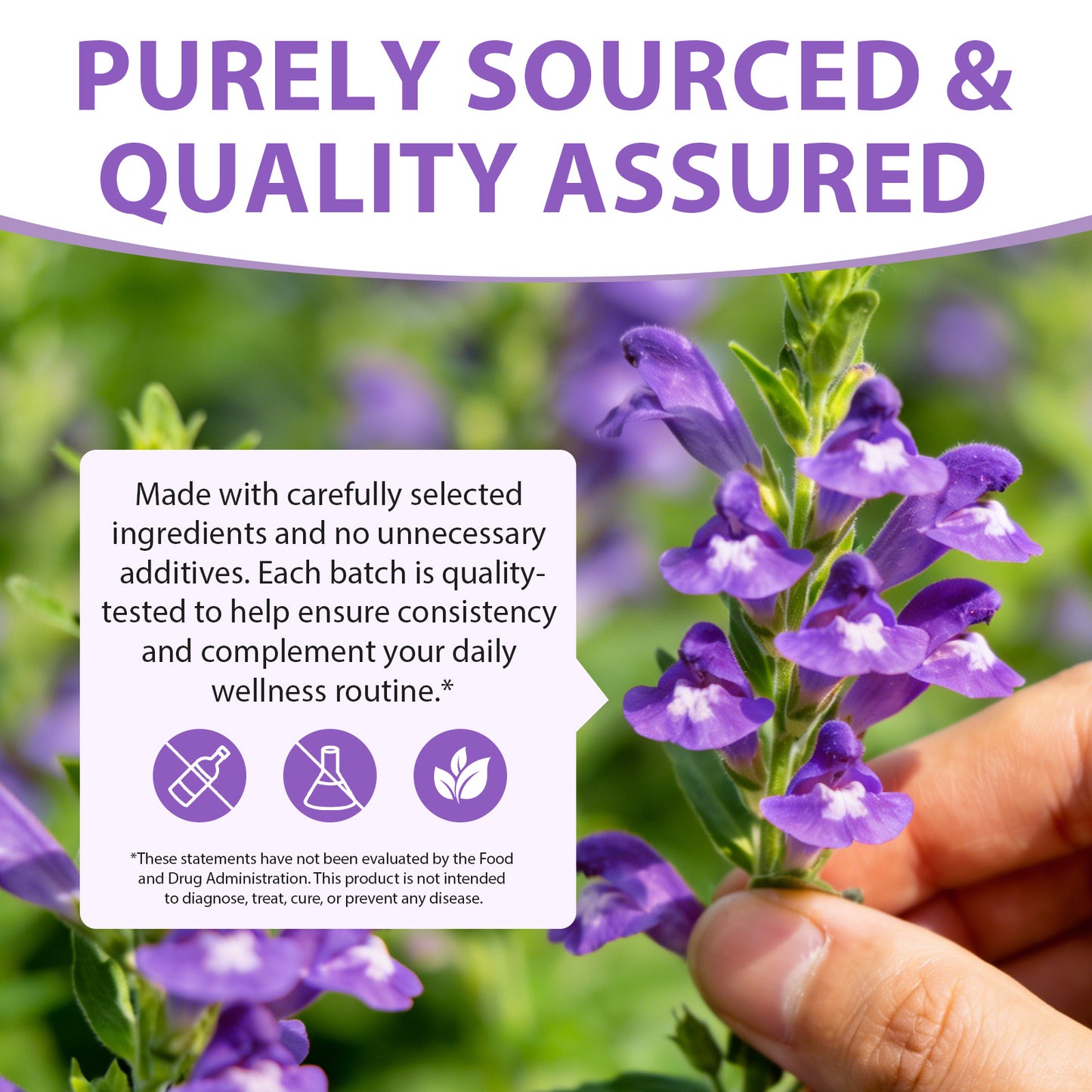 Skullcap Herb Tincture - Skullcap Supplement for Mood Support - Relaxing Liquid Extract Drops - Vegan, Sugar & Alcohol-Free