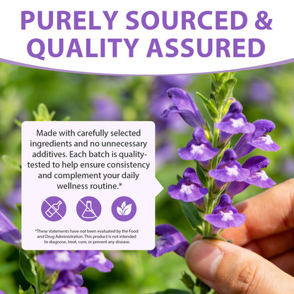 Skullcap Herb Tincture - Skullcap Supplement for Mood Support - Relaxing Liquid Extract Drops - Vegan, Sugar & Alcohol-Free
