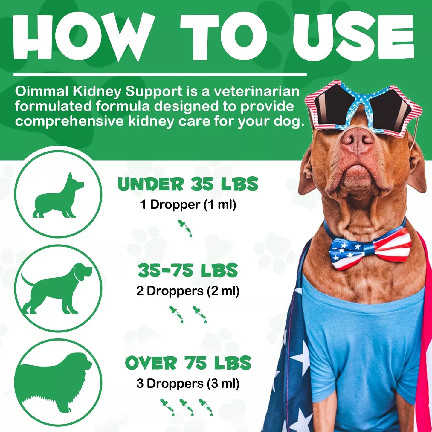 Kidney Support for Dogs Liquid Supplement Supports Healthy Kidney Herbal Oil