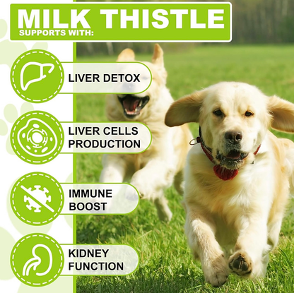 Milk Thistle for Dogs, Dog Liver Support Drops Helps Dog Liver Detox, Pet Oil