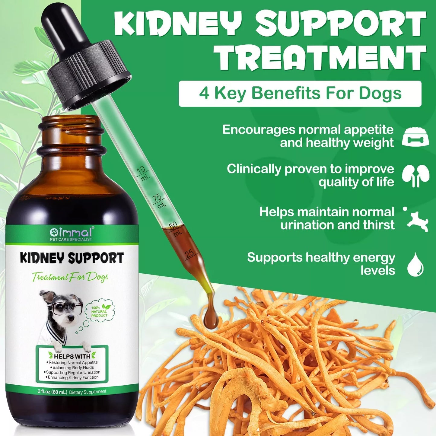 Kidney Support for Dogs Liquid Supplement Supports Healthy Kidney Herbal Oil