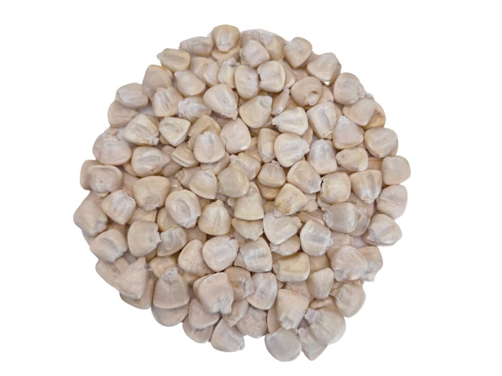 White Hominy Maiz Pozolero Blanco Whole Dried Corn for Authentic Mexican Pozole IMPORTED FROM MEXICO
