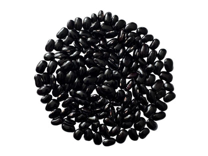 Black Ayocote Beans Frijol Ayocote Negro Premium Heirloom Whole Dried Beans Product of Mexico