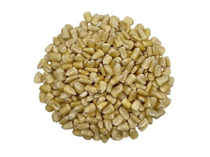 Mexican White Corn Dried Whole Kernels, Maíz Blanco Elote Blanco Mexicano Maiz Elotero Big White Mexican Corn – IMPORTED FROM SINALOA, MEXICO