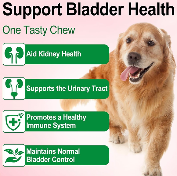 Natural Dog Urinary Tract Infection Supports Bladder , Dog UTI Kidney Stone 60ml