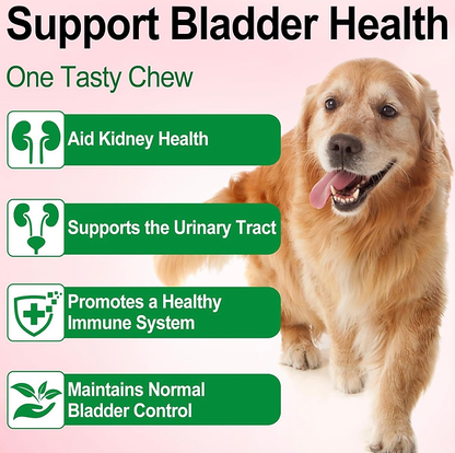 Natural Dog Urinary Tract Infection Supports Bladder , Dog UTI Kidney Stone 60ml