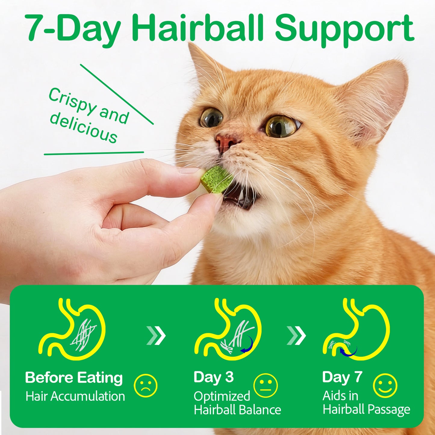 Cat Grass Treats, Freeze-Dried Cat Grass Pellets for Cats | Natural Hairball Control, Digestive Support & Dental Care | Chicken & Fish Oil Recipe | No Artificial Additives