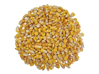 Yellow Corn Maiz Amarillo Whole Dried Premium Mexican Corn Whole Kernels Product of Mexico