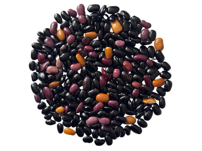 Premium Mexican Ayocote Pinto Beans (Frijol Ayocote Pinto), Whole Dried Product of Mexico