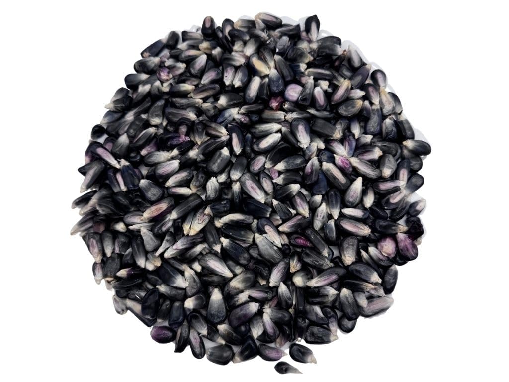 Mexican Blue Corn Dried Whole Kernels, Maíz Azul Elote Azul Mexicano Maiz Conico Azul Blue Corn Masa Puebla Tamale Maize – IMPORTED FROM MEXICO