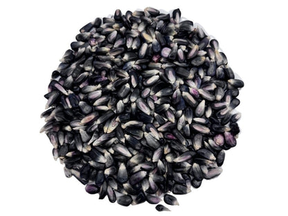 Mexican Blue Corn Dried Whole Kernels, Maíz Azul Elote Azul Mexicano Maiz Conico Azul Blue Corn Masa Puebla Tamale Maize – IMPORTED FROM MEXICO