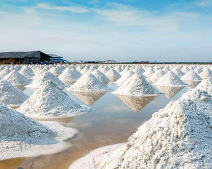 Premium Colima Sea Salt Unrefined | 100% All Natural Sea Salt, Gourmet Grade, Non GMO's. | Hand Harvested | Imported From Lagoon Cuyutlán “Tepalcates” Colima, Mexico. Colima Coarse Sea Salt - Protects Heart - Shapes Figure - Boosts Mood