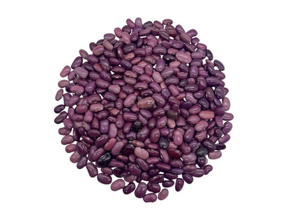 Exotic Purple Ayocote Beans (Frijol Ayocote Morado) – Premium Mexican Heirloom Legume Mexican Grande Ayocote Morado Bean Seeds Runner Bean IMPORTED FROM MEXICO