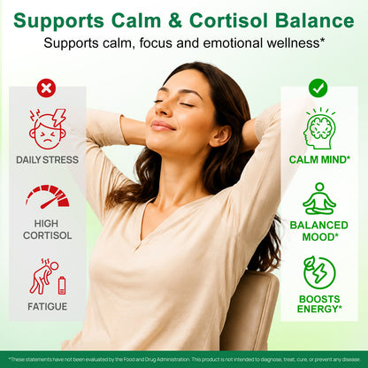 AMLA Superfruit 20X Extract 1000 MG Per Serving 120 Capsules for Stress Cortisol Balance Calm Energy Healthy Gut Digestion Radiant Skin Strong Hair