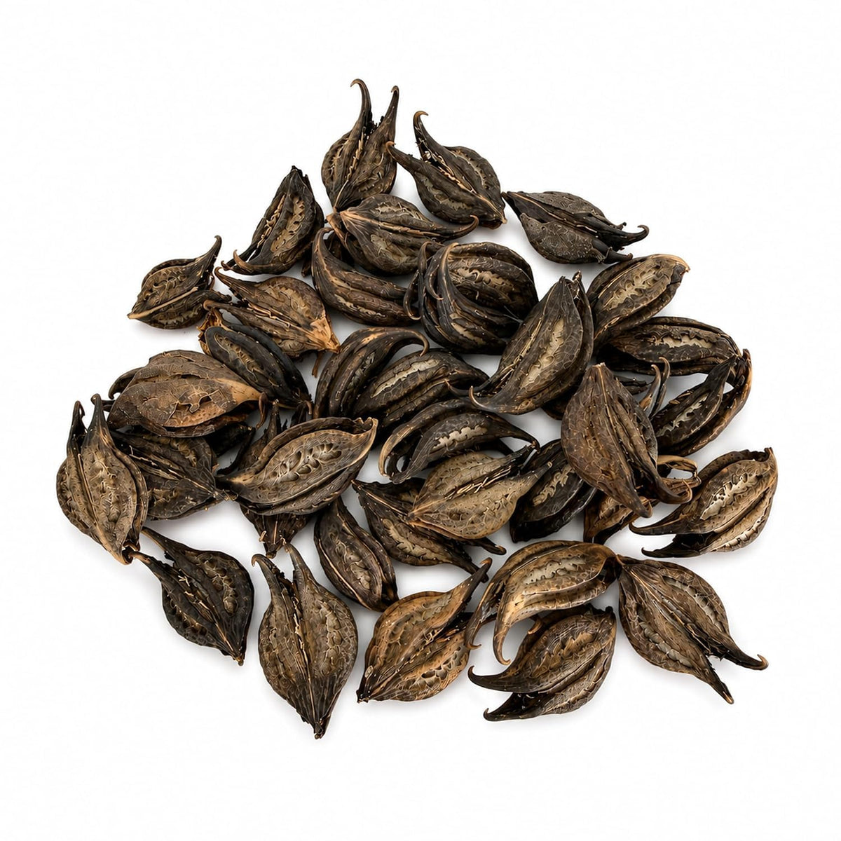 5oz Cat's Claw Bark Uña de Gato, Premium Dried Vine Bark Cat's Claw Tea | Cat's Claw Bark (Una de Gato) | Premium Uncaria Tomentosa | Herbal Tea | Naturally Caffeine Free IMPORTED FROM MEXICO