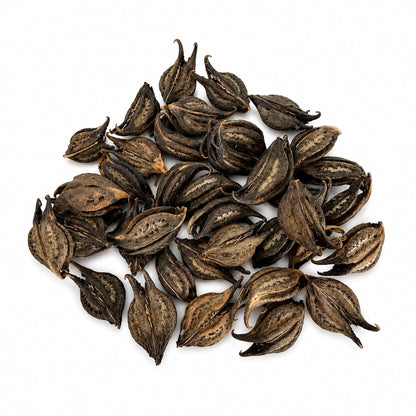 5oz Cat's Claw Bark Uña de Gato, Premium Dried Vine Bark Cat's Claw Tea | Cat's Claw Bark (Una de Gato) | Premium Uncaria Tomentosa | Herbal Tea | Naturally Caffeine Free IMPORTED FROM MEXICO