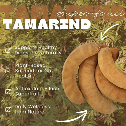 Tamarind Pods Whole Dried Tamarindo, Sweet and Sour Tamarind Fruit, Tamarind for Mexican Candy Agua Fresca, Thai Cooking, Asian Recipes, Tamarindo Pods - IMPORTED FROM MEXICO