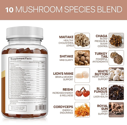 Mushroom Gummies 14 Blend, 3500mg, 10:1 Extract, with Lions Mane, Reishi, Chaga