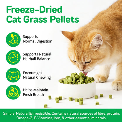 Cat Grass Treats, Freeze-Dried Cat Grass Pellets for Cats | Natural Hairball Control, Digestive Support & Dental Care | Chicken & Fish Oil Recipe | No Artificial Additives