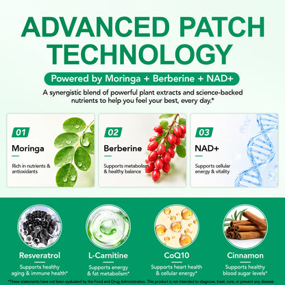 Moringa Berberine X NAD Patches, Berberine Patches | Natural Patch for Women and Men 8-Hour Long-Lasting, Applied to Various Parts of The Body, 30 Count