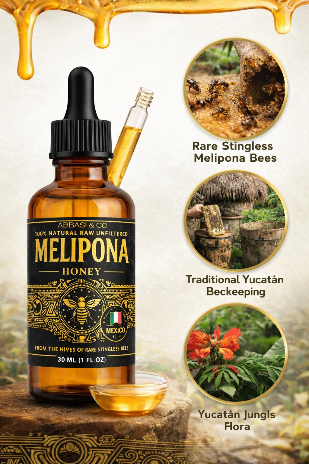 Melipona Honey | Stingless Bee Honey | Miel Melipona | Authentic | 100% Natural | Raw | Pure | Sweet & Tangy | JIMERITO | Yucatán | IMPORTED FROM MEXICO Premium Grade