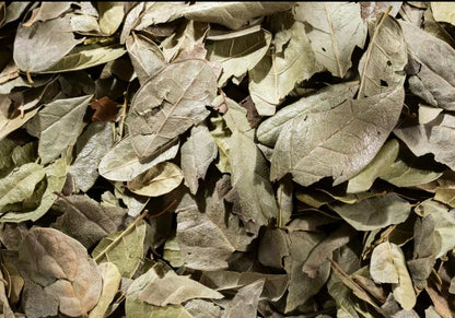 VIRAL Boldus (Boldo) Tea 100% Natural Herbs Vegan made in Mexico Peumus Boldus , te de hierba natural silvestre , wild crafted  4oz