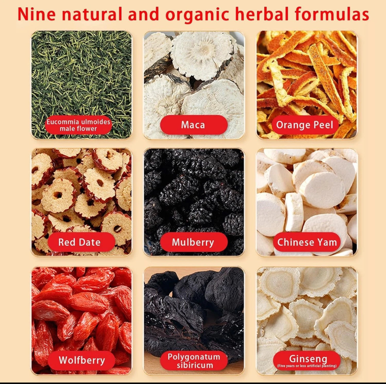 Kidney Tea - Ginseng and Wolfberry Tea, Ginseng Nine Treasure Tea, Men's Health Tea Herbal 9 Precious Ingredients Formula, Natural Organic Kidney Cleanse Detox Tea for Women & Men (1Bag(12pcs))