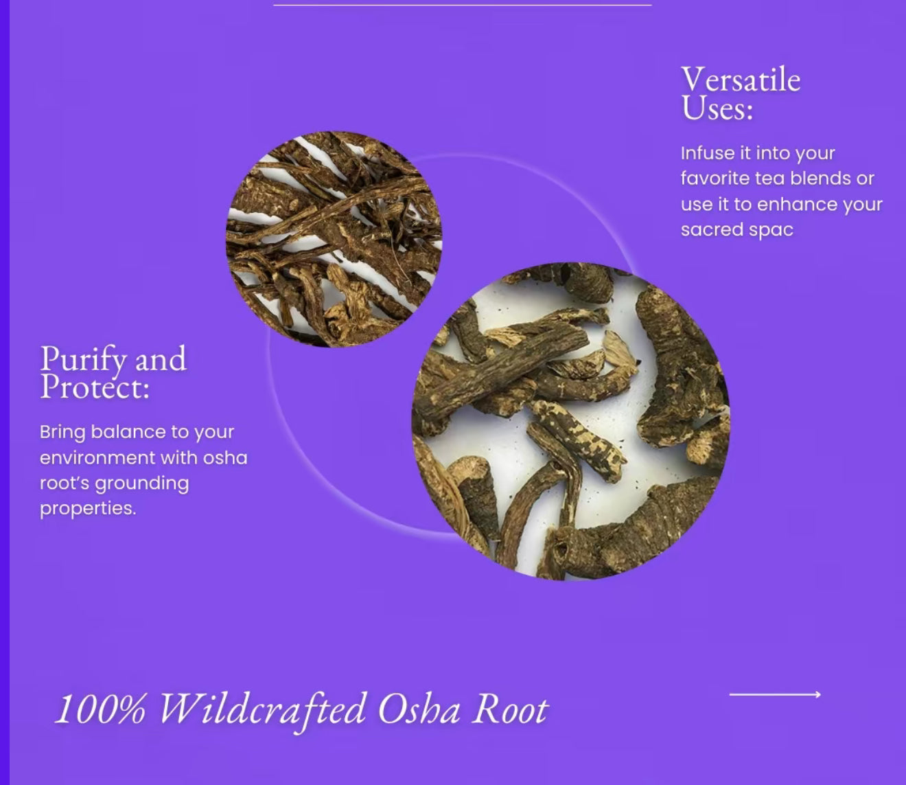 Wildcrafted Osha Root 1oz - (Ligusticum Porteri) - Chuchupate Whole Root for Cleansing, Purification, Meditation, Healing, Spiritual Practices, and Wiccan Rituals & Tea.