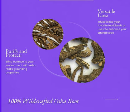 Wildcrafted Osha Root 1oz - (Ligusticum Porteri) - Chuchupate Whole Root for Cleansing, Purification, Meditation, Healing, Spiritual Practices, and Wiccan Rituals & Tea.