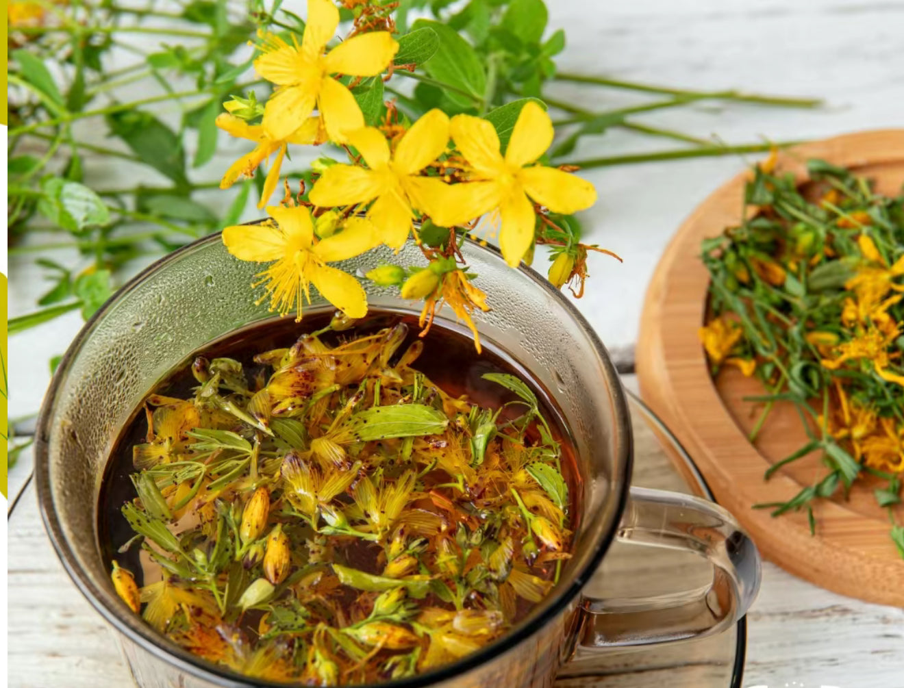 St. John's Wort Flower Tea | Hierba de San Juan Te - 100% Natural & Aromatic Herbal Beverage - Makes 40+ Cups 5oz
