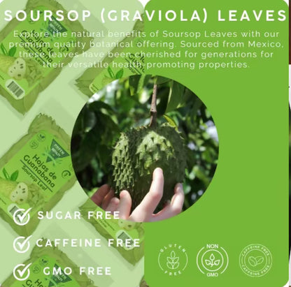 Whole Dried Graviola Soursop Leaves (4 oz 113g+ Leaves Per Bag) Hoja De Guanabana, 100% All Natural Fresh Tea From Mexico . TEA Beverage Traditional