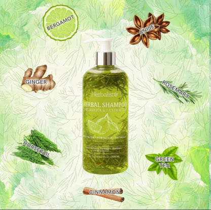 Bergamot Herbal Shampoo & Conditioner set  1000ml (33 fl oz) – With 7 Extracts: Rosemary, Ginger, Anise, Green Tea, Horsetail & Cinnamon – hair growth shampoo  , active root follicles