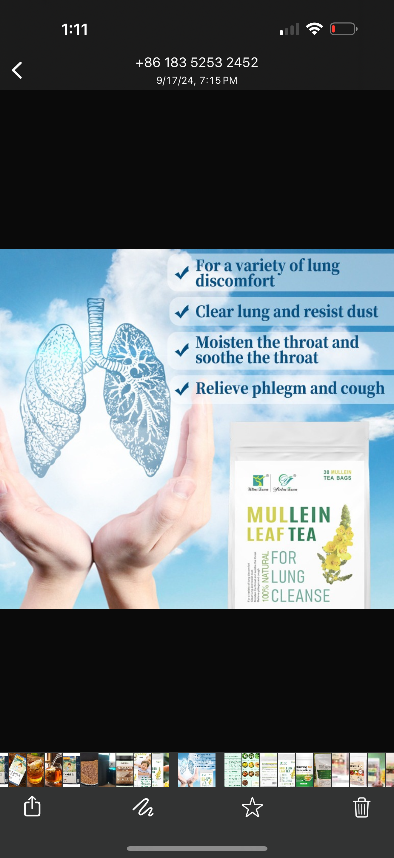 Natural Mullein Leaf Tea Lung detox tea for lung cleanse & congestion relief tea mucus relief tea , helps with sinus