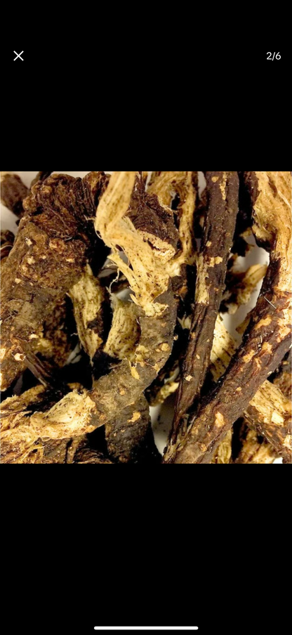 Wildcrafted Osha Root 1oz - (Ligusticum Porteri) - Chuchupate Whole Root for Cleansing, Purification, Meditation, Healing, Spiritual Practices, and Wiccan Rituals & Tea.
